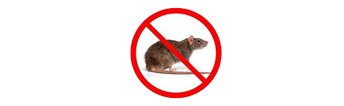 Hama Tikus Dan Permasalahannya Di Industri